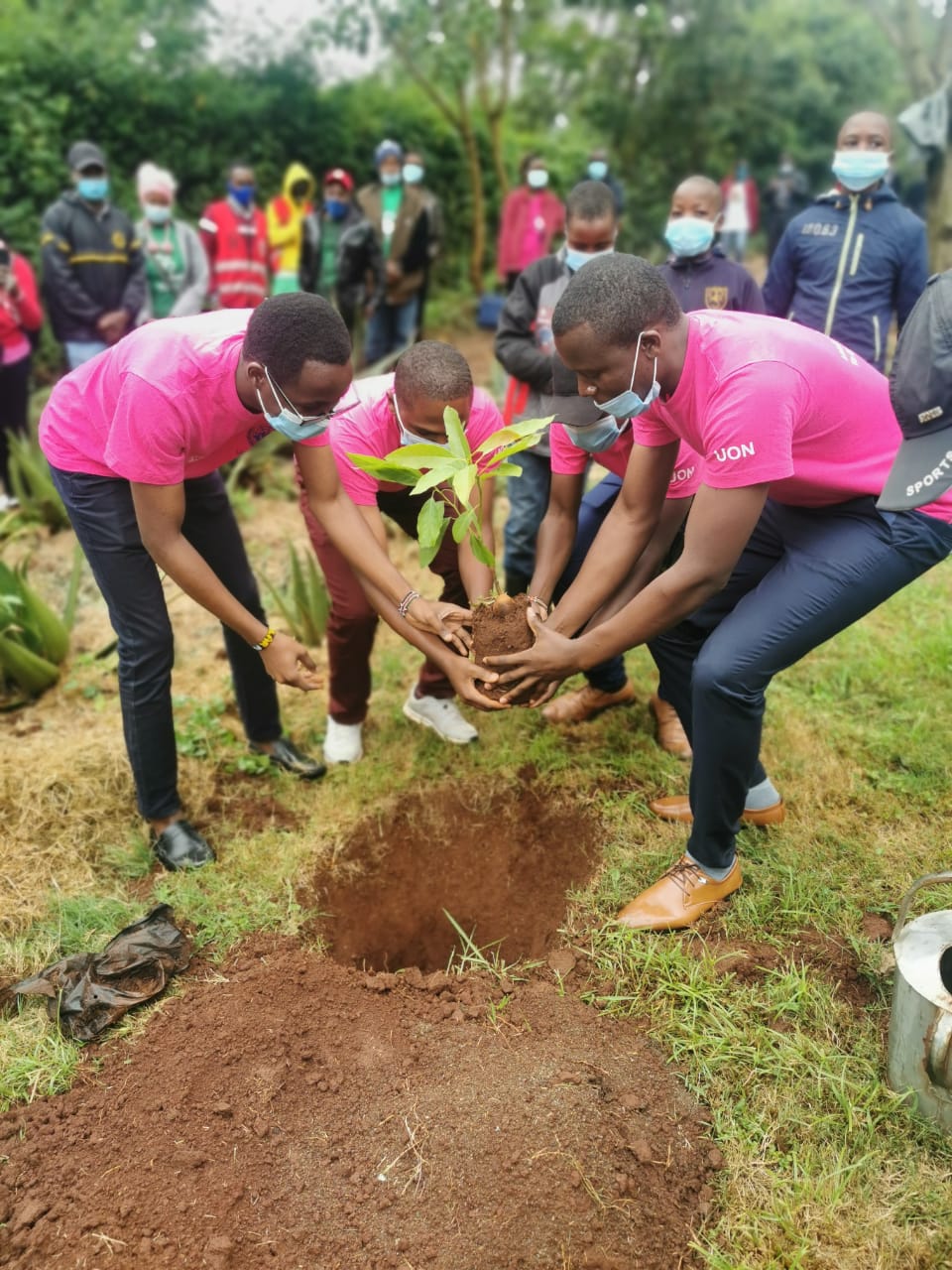 Students during Tree planting
