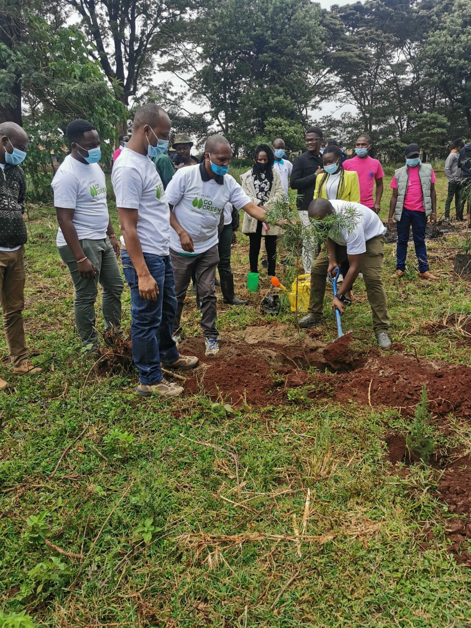 Tree Planting- DoS office 2020
