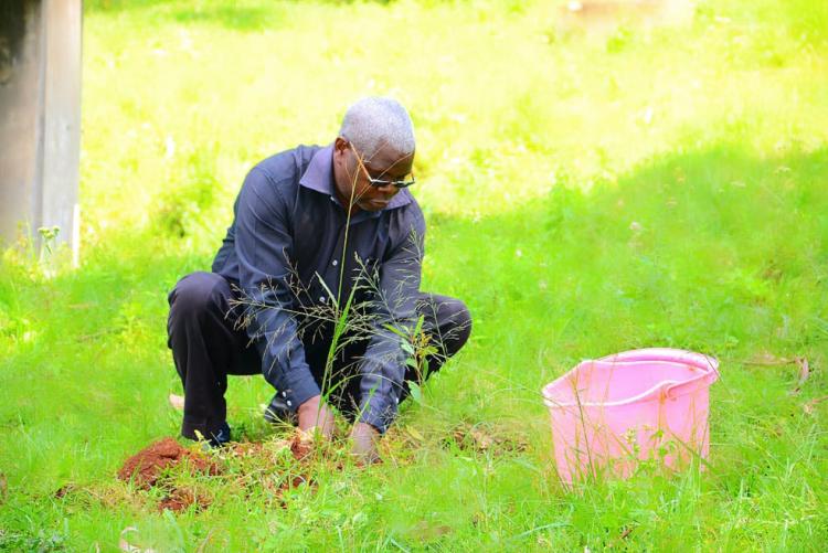 Marking the World Environment Day with Pride