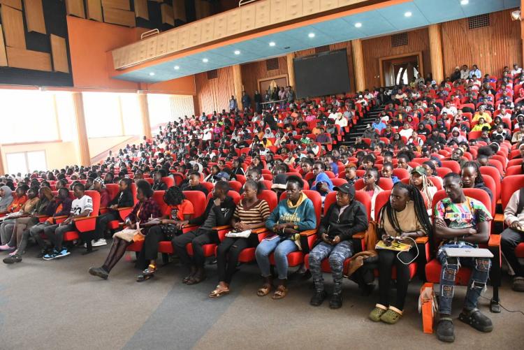 Career Mentorship for First-Year Arts and Social Sciences Students, Building Market-Ready Graduates